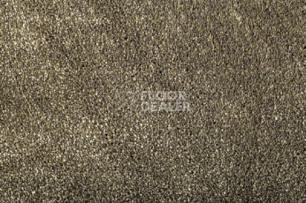 Ковролин Condor Carrera 40 фото 1 | FLOORDEALER